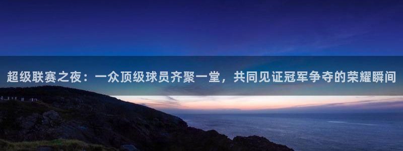 超级联赛之夜：一众顶级球员齐聚一堂，共同见证冠军争夺的荣耀瞬间