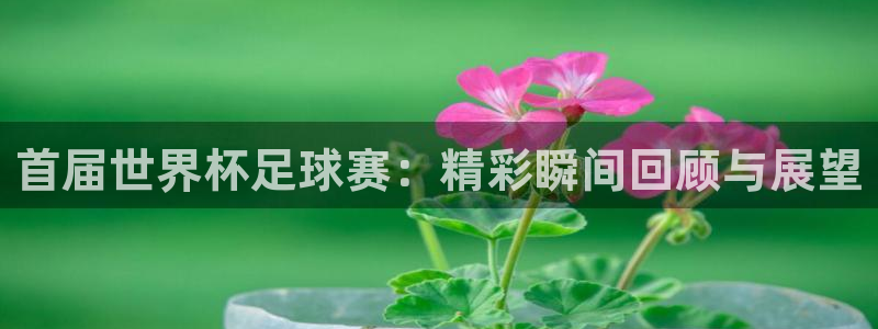 首届世界杯足球赛：精彩瞬间回顾与展望