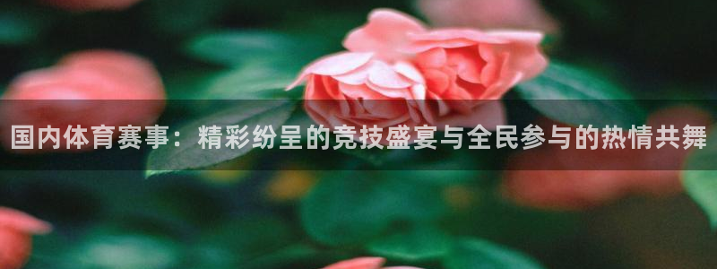 国内体育赛事：精彩纷呈的竞技盛宴与全民参与的热情共舞