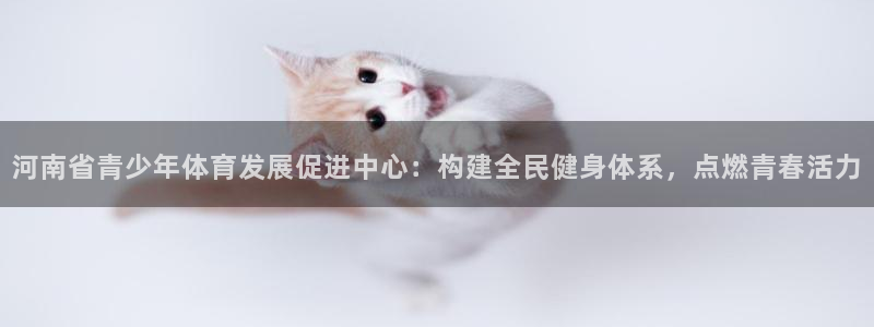 河南省青少年体育发展促进中心：构建全民健身体系，点燃青春活力