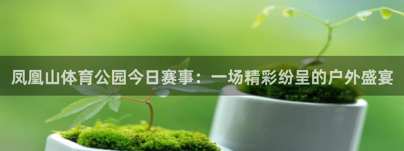 凤凰山体育公园今日赛事：一场精彩纷呈的户外盛宴