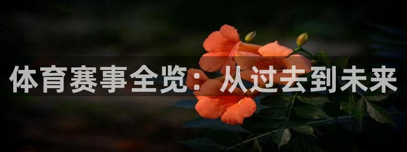 体育赛事全览：从过去到未来