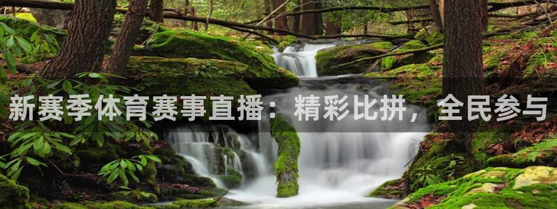 新赛季体育赛事直播：精彩比拼，全民参与