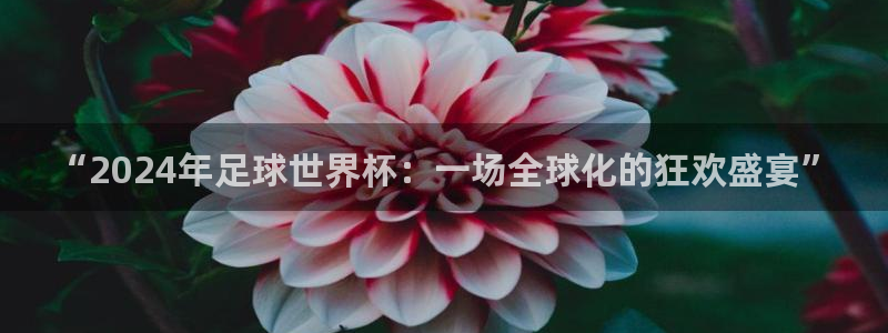 “2024年足球世界杯：一场全球化的狂欢盛宴”