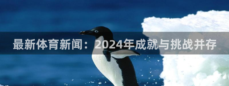 最新体育新闻：2024年成就与挑战并存