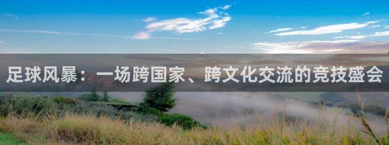 足球风暴：一场跨国家、跨文化交流的竞技盛会