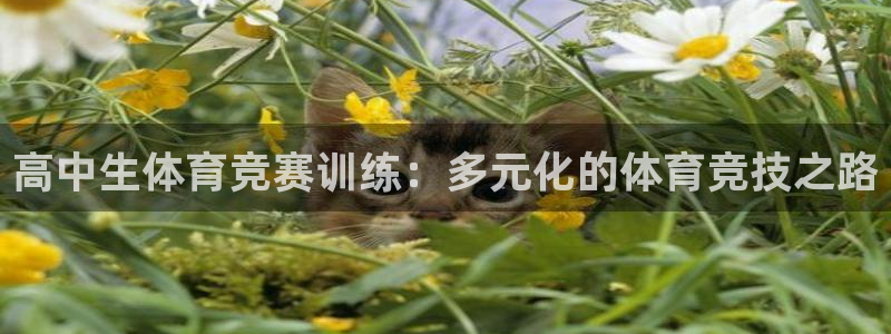 高中生体育竞赛训练：多元化的体育竞技之路