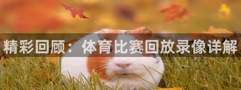 精彩回顾：体育比赛回放录像详解