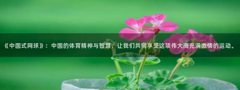 《中国式网球》：中国的体育精神与智慧，让我们共同享受这项伟大而充满激情的运动。