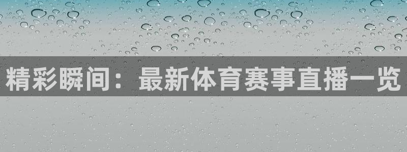 精彩瞬间：最新体育赛事直播一览