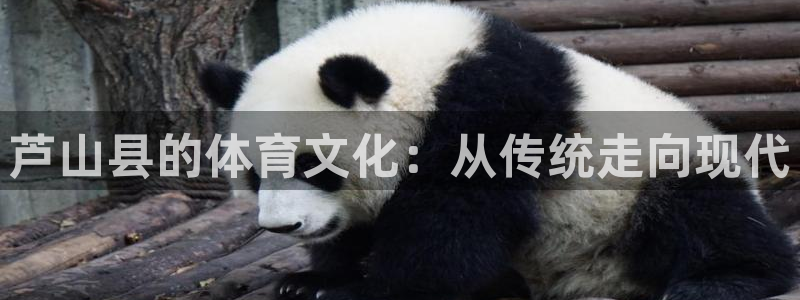 芦山县的体育文化：从传统走向现代