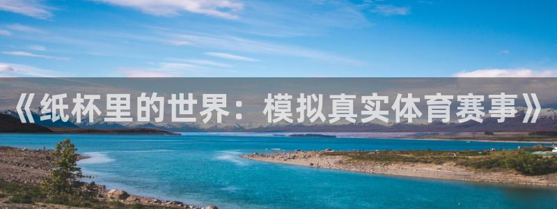 《纸杯里的世界：模拟真实体育赛事》