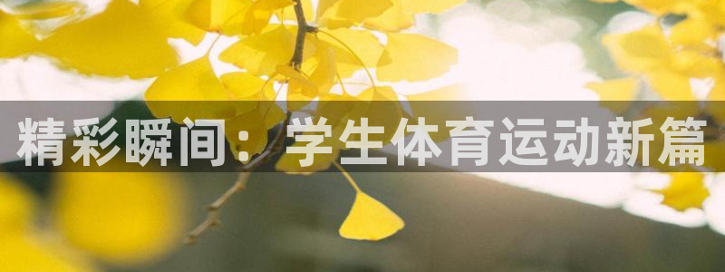 精彩瞬间：学生体育运动新篇