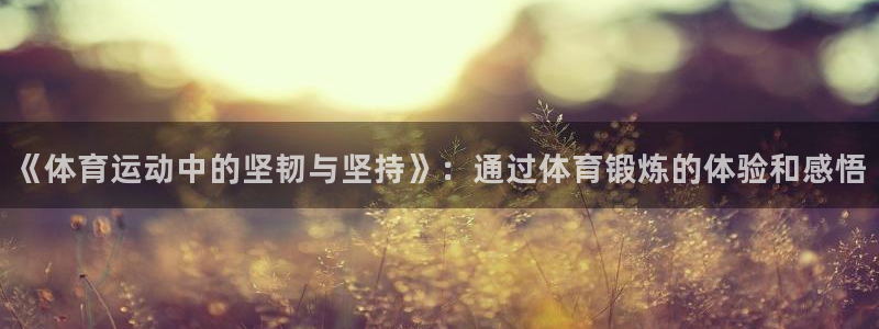 《体育运动中的坚韧与坚持》：通过体育锻炼的体验和感悟