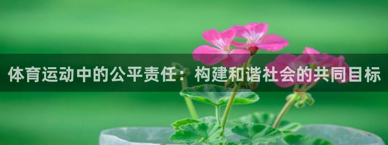 体育运动中的公平责任：构建和谐社会的共同目标